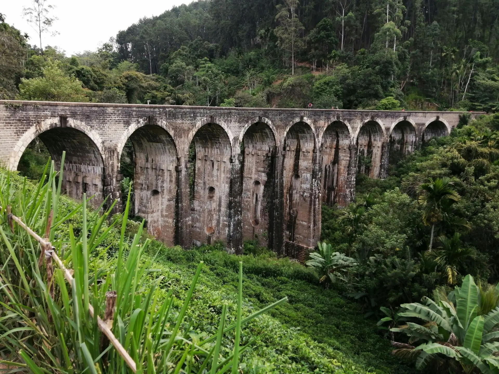 Kandy Private Cultural Immersion