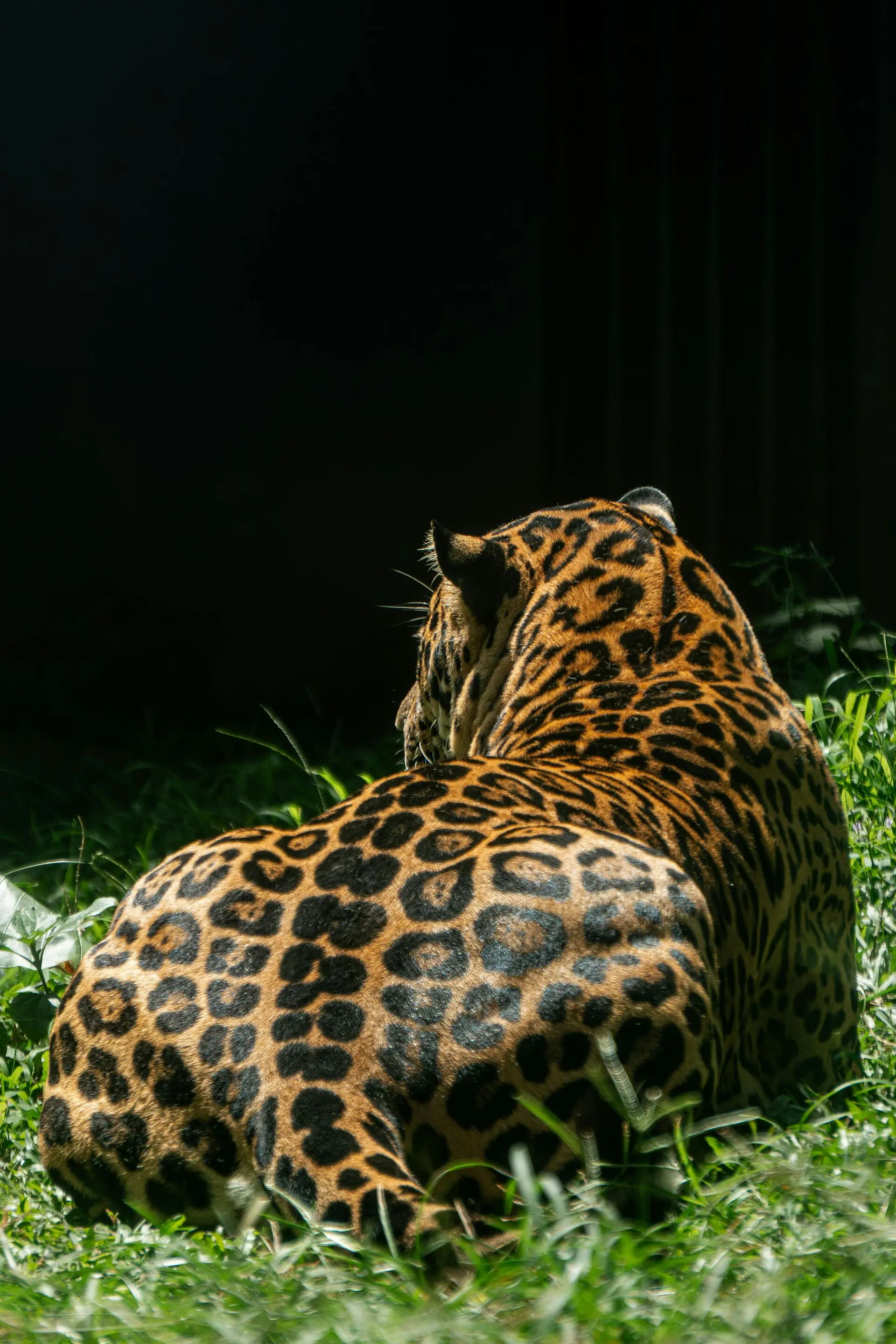 Wildlife Safari Sri Lanka Eco-Luxury